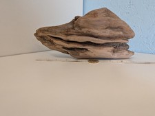 4921# DECORATIVE  DRIFTWOOD