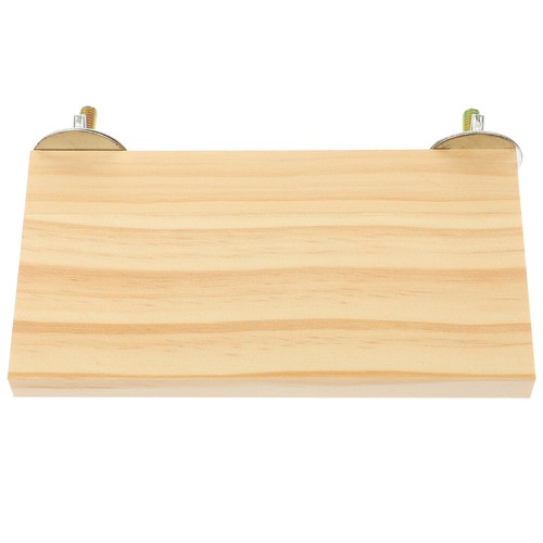Large flat perch for bird - flat,