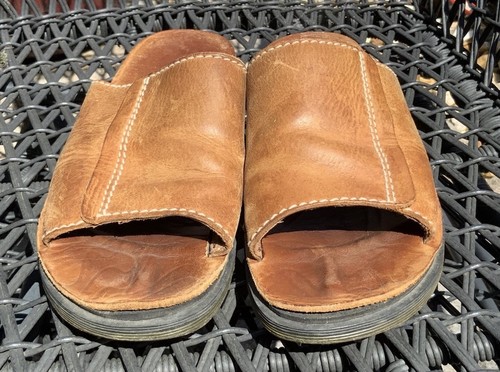 Ladies size martin - dr,