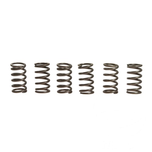 Clutch springs ebc - 6,