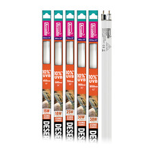 ARCADIA EURO RANGE REPTILE