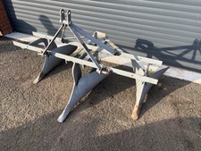 Ferguson/Fergie Potato