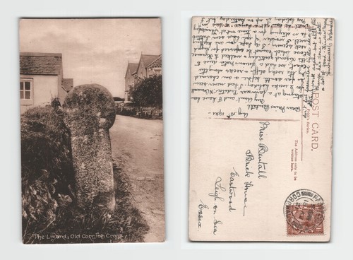 Postcard the lizard old - lizard,