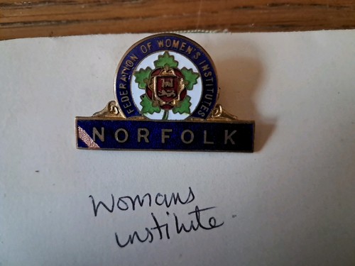 Vintage badge norfolk womens - ,