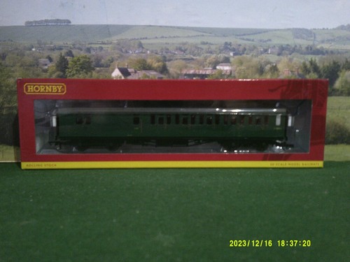 Hornby bullied suburban - br,
