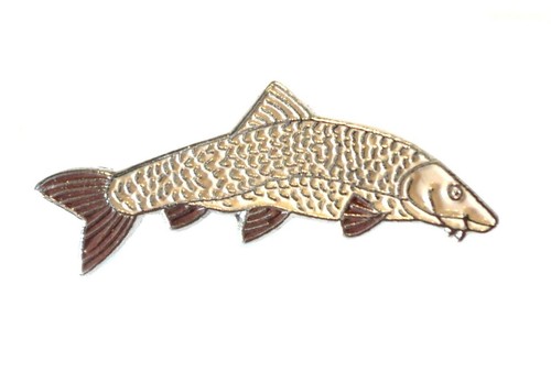 Barbel freshwater game fish - barbel,