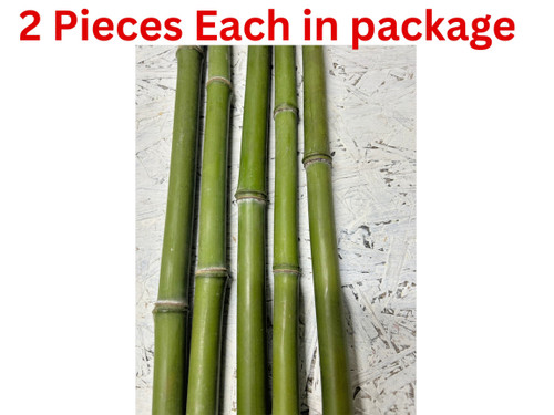 Pcs diameter fresh - 2,