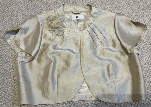 Light golden beige formal - light,