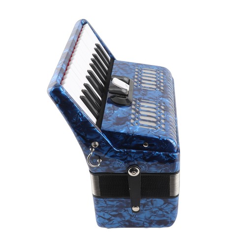 Irin celluloid accordion abs - irin,