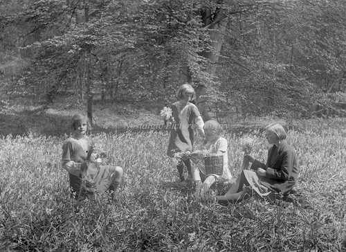 Antique glass negative - antique, the
