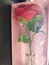 Single Red Rose with Vase