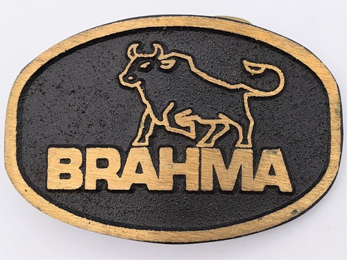 Brahma bull pickup - brahma, truck