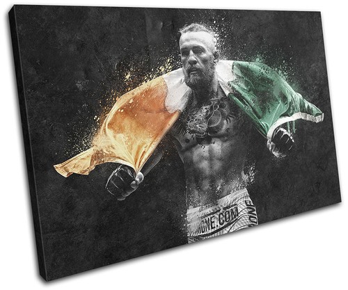 Conor mcgregor ufc mma irish - conor,