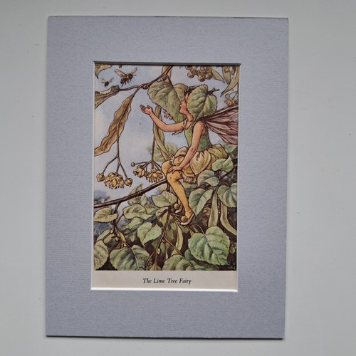 Cicely mary barker artist - cicely,
