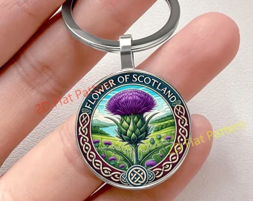 Scottish thistle flower - scottish, of