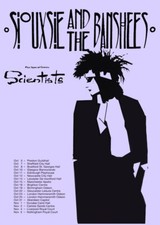 SIOUXSIE AND THE BANSHEES - A1