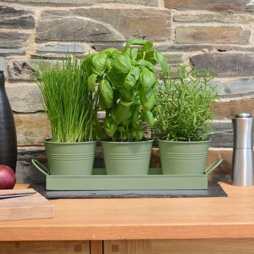 Indoor herb planters tray - indoor,
