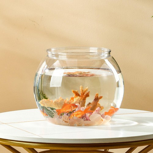 Clear fish tank aquatic - clear,