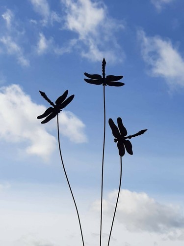 Cuffy metal triple dragonfly - cuffy's,