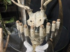 Snake Shed, Leucistic Ball