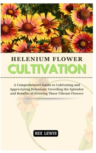 Helenium flower cultivation a - flower, cultivation: