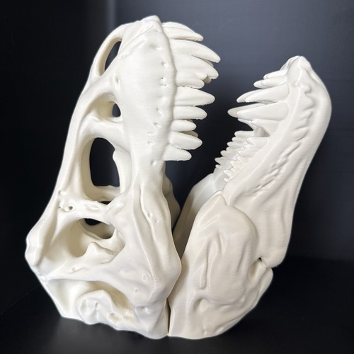 Rex skull fossil replica - fossil,