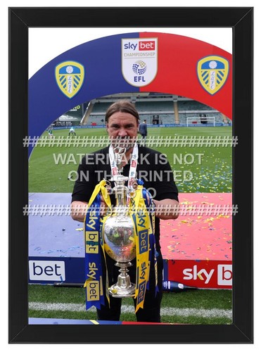 Daniel farke champions trophy - champions,