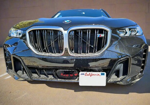 Quick release license plate - quick,