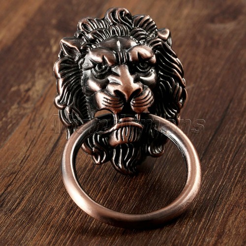 Vintage bronze lion - head, door