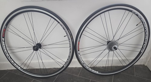 Campagnolo khasium 700c - khasium,