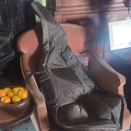 Full size cello - ,