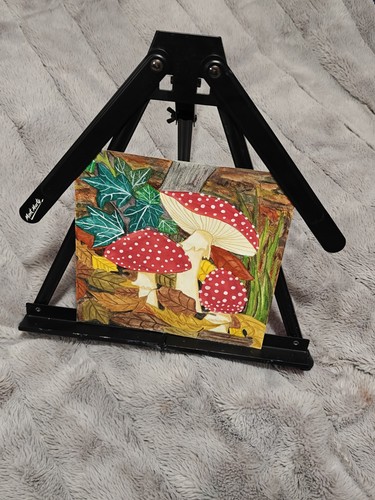 Mont marte foldable - mont,