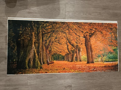 Wall canvas velvet - wall,