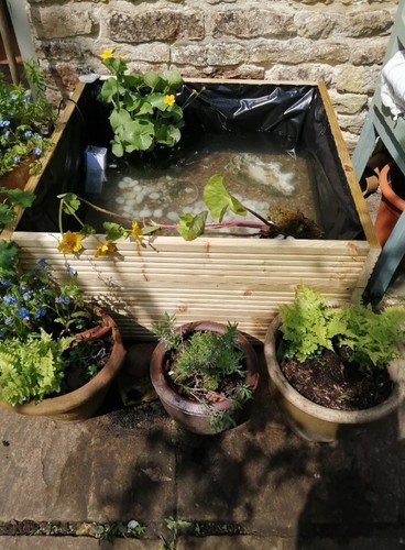 Garden pond raised - garden,