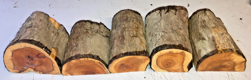 Half logs 5pcs lot 321a - half, yew