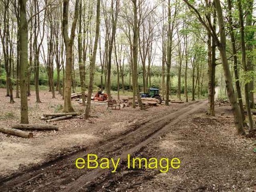Photo 6x4 forestry equipment - forestry,