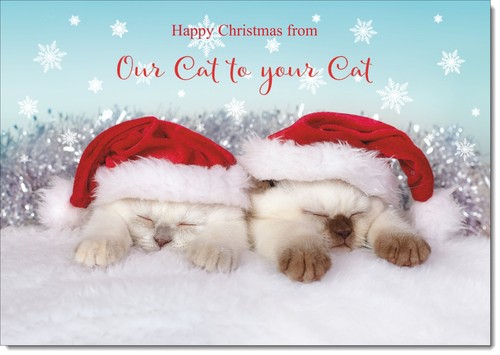 Doodlecards our cat your - doodlecards,