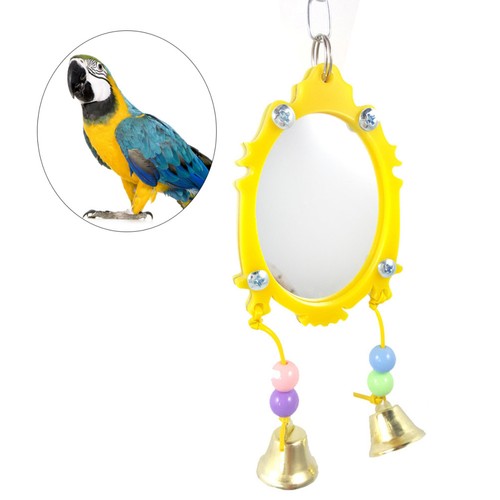 Fancy mirror bird - fancy, parrot