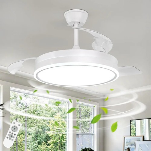 Ceiling fan with lighting - ceiling,
