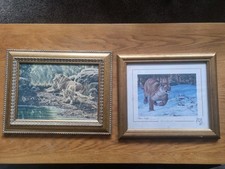 STEPHEN GAYFORD PRINT "MORNING