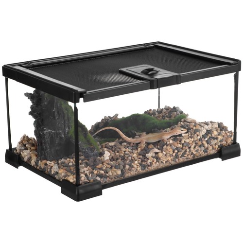 Mini reptile glass - reptile,