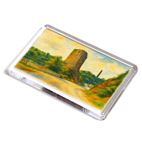 Fridge magnet ferry carrig - fridge,