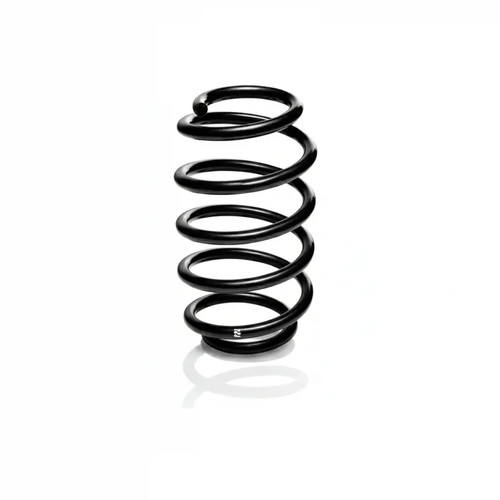 Suspension spring rear - spring,