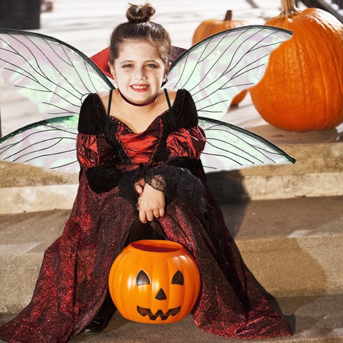 Fairy wings transparent - wings,