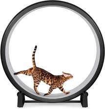 One Fast Cat Exercise Wheel -