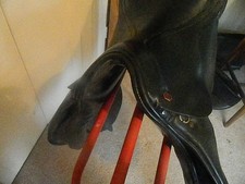 Albion Style general purpose