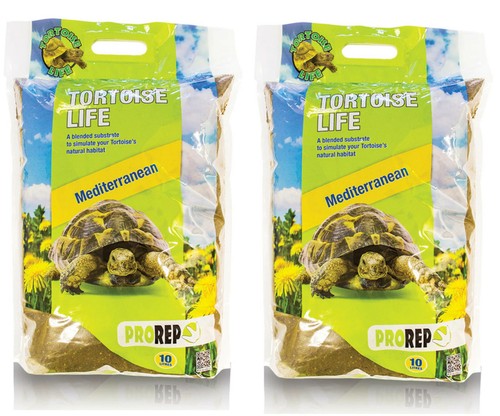 Pro life tortoise reptile - pro,