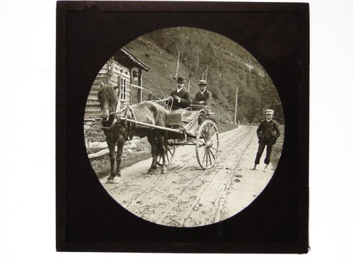 Men horse drawn carriage rural - horse,