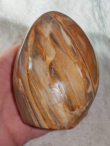 Petrified wood freeform - petrified,