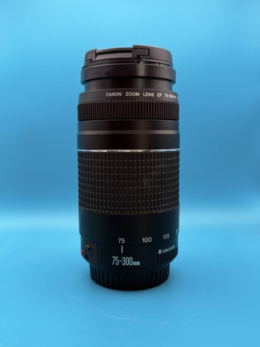 Canon 300mm 5 6 iii - canon, 75-300mm